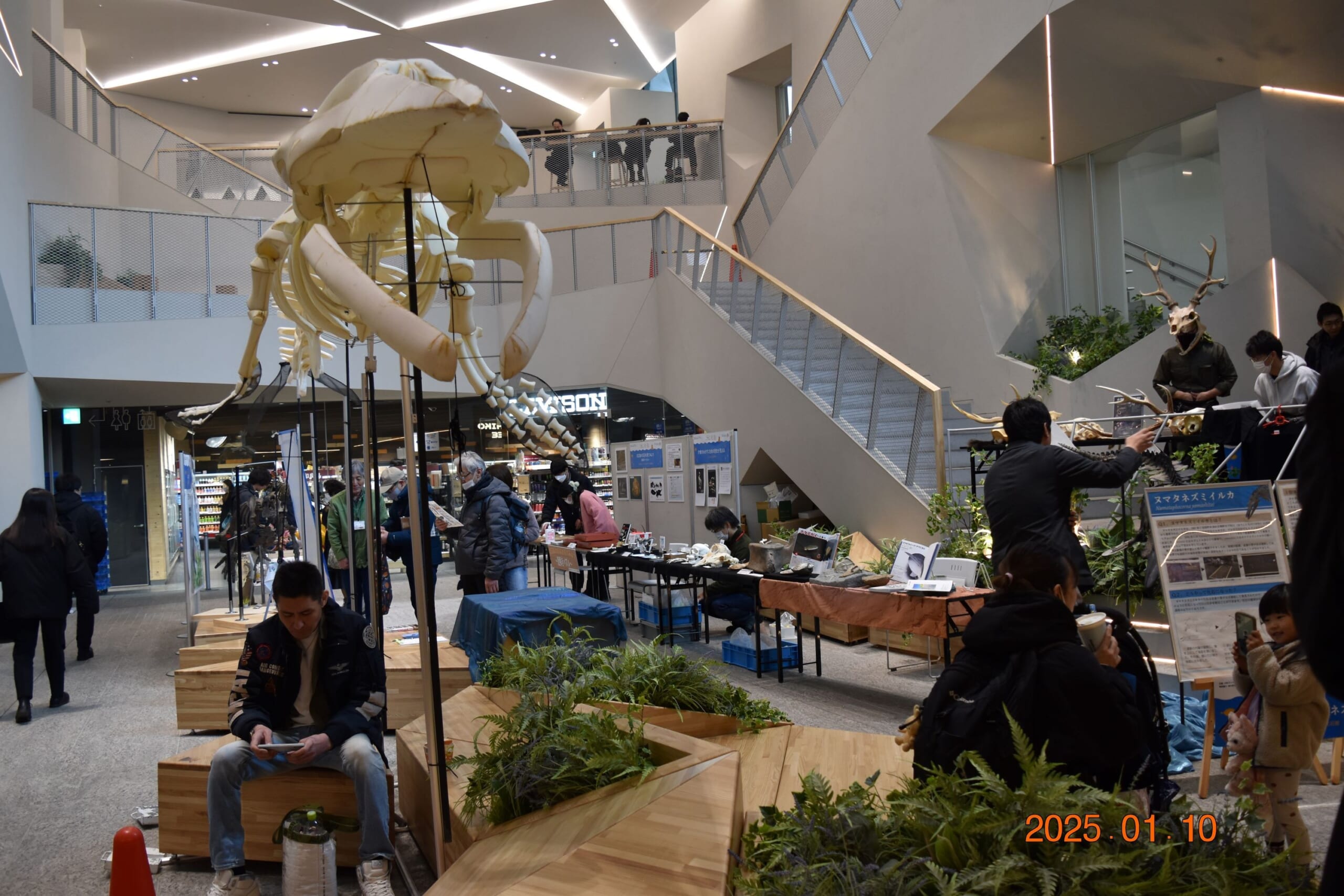 北海道大学総合博物館