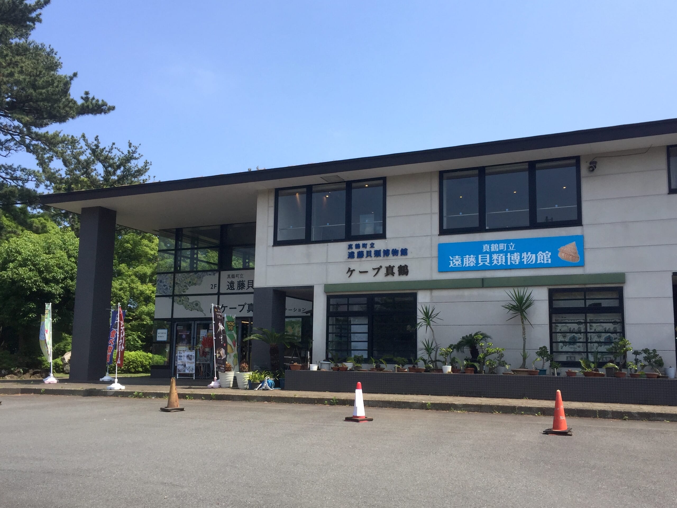 真鶴町立遠藤貝類博物館